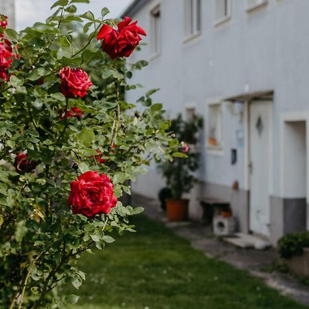 Ferienwohnung Morgensonne Schützen am Gebirge Dış mekan fotoğraf